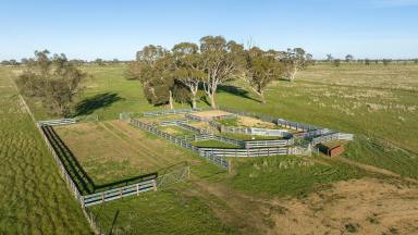 Farm For Sale - VIC - Apsley - 3319 - Lot 42A and 42B Davies Road, Apsley  (Image 2)