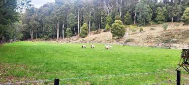 Farm For Sale - TAS - Aberdeen - 7310 - Acreage, Elevated Views, River Frontage - Wilderness Values on Town Edge  (Image 2)