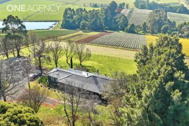 Farm Sold - VIC - Ellinbank - 3821 - SPRINGBANK - The perfect country lifestyle  (Image 2)