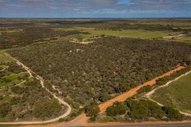 Farm Sold - WA - Mount Hill - 6528 - Far from the Madding Crowd  (Image 2)