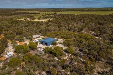 Farm Sold - WA - Mount Hill - 6528 - Far from the Madding Crowd  (Image 2)