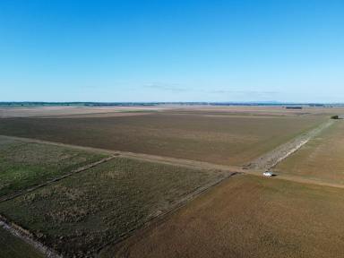 Farm Sold - NSW - Forbes - 2871 - ‘North Bogabigal’  (Image 2)