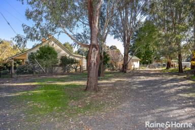Farm Sold - NSW - Ladysmith - 2652 - Charming Acreage Cottage  (Image 2)