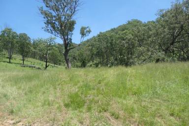 Farm For Sale - NSW - Rocky River - 2372 - PARADISE ON THE ROCKY RIVER  (Image 2)