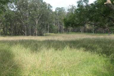 Farm Sold - NSW - Rocky River - 2372 - DIRECT RIVER FRONTAGE  (Image 2)