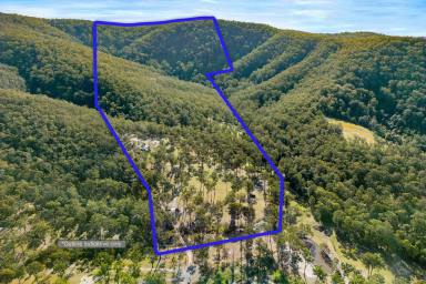 Farm Sold - NSW - Booral - 2425 - IDEAL WEEKENDER WITH ACCOMMODATION WHILE YOU BUILD YOUR DREAM GETAWAY  (Image 2)