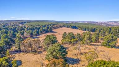 Farm Sold - NSW - Kirkconnell - 2795 - CHURLINGPA
-
23Ha or 59Ac  (Image 2)