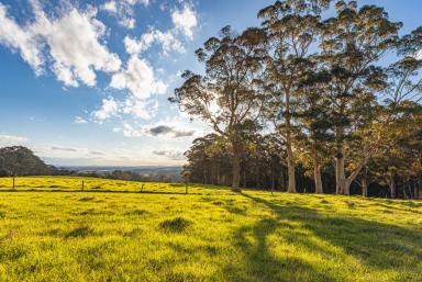 Farm For Sale - WA - Shadforth - 6333 - Great Southern Land  (Image 2)
