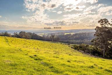 Farm For Sale - WA - Shadforth - 6333 - Great Southern Land  (Image 2)