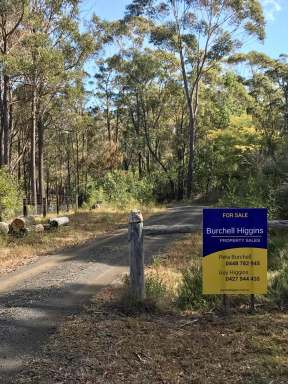 Farm Sold - NSW - Kalaru - 2550 - Secluded Retreat combining town living with forest tranquility  (Image 2)