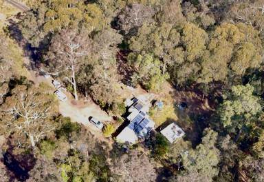 Farm Sold - NSW - Kalaru - 2550 - Secluded Retreat combining town living with forest tranquility  (Image 2)