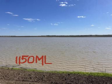 Farm Auction - QLD - St George - 4487 - OUTSTANDING OPPORTUNITY IN THE HEART OF ST GEORGE IRRIGATION COUNTRY  (Image 2)