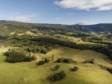 Farm Sold - NSW - Jamberoo - 2533 - 'Willandra' - Escape to the Country  (Image 2)