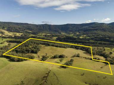 Farm Sold - NSW - Jamberoo - 2533 - 'Willandra' - Escape to the Country  (Image 2)