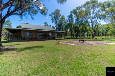 Farm Sold - NSW - Boggabri - 2382 - AFFORDABLE ENTRY LEVEL GRAZING PROPERTY  (Image 2)