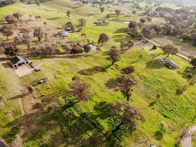 Farm For Sale - NSW - Tumut - 2720 - Rural Lifestyle At It's Absolute Best !!!  (Image 2)