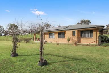 Farm For Sale - NSW - Tumut - 2720 - Rural Lifestyle At It's Absolute Best !!!  (Image 2)