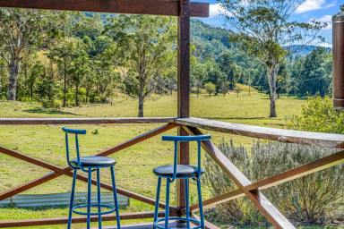 Farm For Sale - NSW - Gloucester - 2422 - Off Grid Country Escape  (Image 2)