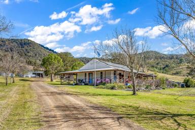 Farm For Sale - NSW - Gloucester - 2422 - Off Grid Country Escape  (Image 2)