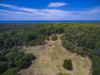 Farm For Sale - NSW - Wooyung - 2483 - Unique lifetime opportunity  (Image 2)