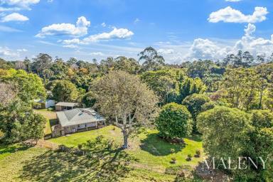 Farm Sold - QLD - Witta - 4552 - Private leafy One Acre Witta  (Image 2)