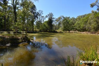 Farm Sold - QLD - Horton - 4660 - 25 Acres of Seclusion Just 5 minutes from Town  (Image 2)