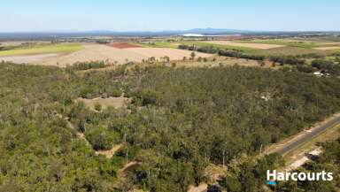 Farm Sold - QLD - Horton - 4660 - 25 Acres of Seclusion Just 5 minutes from Town  (Image 2)