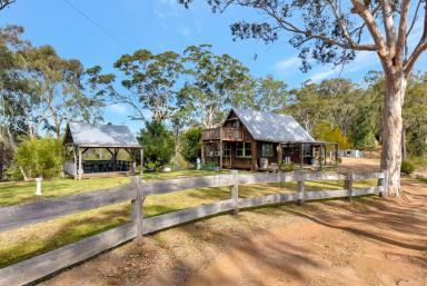 Farm For Sale - NSW - Laguna - 2325 - 'Allawah' - Charming Character Cottage on a Hilltop Oasis  (Image 2)