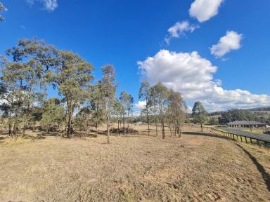 Farm Sold - nsw - Muswellbrook - 2333 - Fully DA Approved Vacant Land  (Image 2)