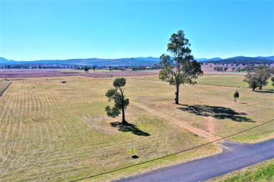 Farm For Sale - NSW - Quirindi - 2343 - QUIET LIFESTYLE LOCATION & SPECTACULAR VIEWS  (Image 2)
