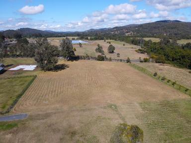 Farm For Sale - NSW - Stroud - 2425 - Pick of the Crop  (Image 2)