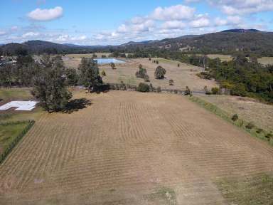 Farm For Sale - NSW - Stroud - 2425 - Pick of the Crop  (Image 2)