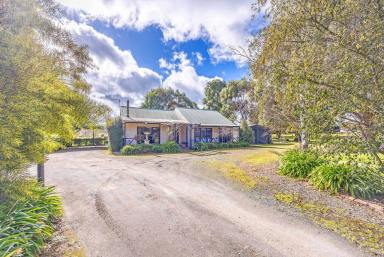 Farm Sold - VIC - Scarsdale - 3351 - Incredible Lifestyle Property With Impressive Equine Infrastructure!  (Image 2)