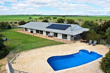 Farm Sold - WA - Woolocutty - 6369 - Hythe Grazing Co Pty Ltd and AW & AP Latham  (Image 2)
