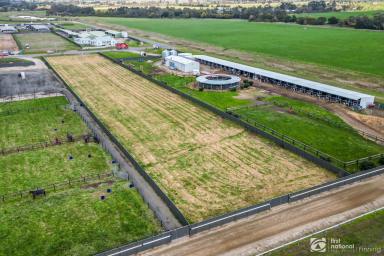 Farm For Sale - VIC - Tynong - 3813 - ONE FOR THE TRAINERS & ASTUTE INVESTORS  (Image 2)