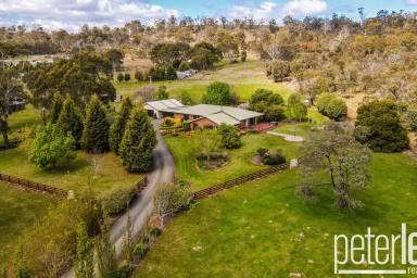 Farm Sold - TAS - Prospect Vale - 7250 - Another Property SOLD SMART by Peter Lees Real Estate  (Image 2)