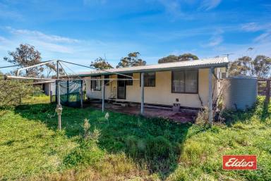 Farm Sold - SA - Owen - 5460 - UNDER CONTRACT AFTER FIRST OPEN INSPECTION  (Image 2)