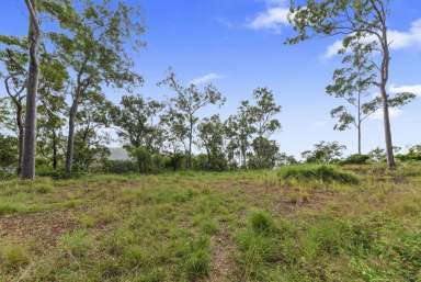 Farm Sold - QLD - Cedar Creek - 4520 - 6.8 Elevated Acres Capturing Moreton Bay Views!  (Image 2)