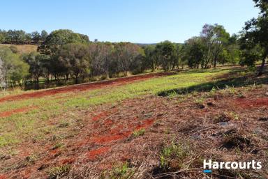 Farm Sold - QLD - Childers - 4660 - We're Back and CHEAPER Than Ever!!!  (Image 2)