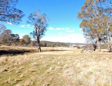 Farm Sold - NSW - Kybeyan - 2631 - Eastern Tableland Block - Kybeyan River Frontage  (Image 2)