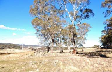 Farm Sold - NSW - Kybeyan - 2631 - Eastern Tableland Block - Kybeyan River Frontage  (Image 2)