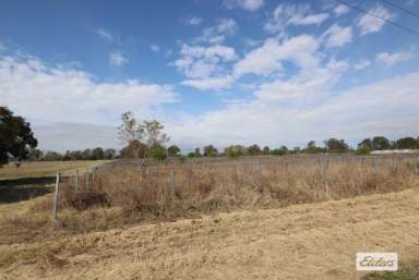 Farm Sold - QLD - Rifle Range - 4311 - Fertile 10.84 Acres with Water
UNDER CONTRACT  (Image 2)