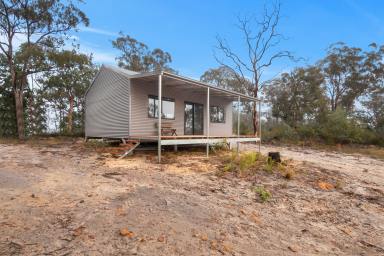 Farm Sold - NSW - Putty - 2330 - Unveil Your Dream Weekend Retreat: Your Blank Canvas Awaits!  (Image 2)