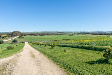 Farm Sold - SA - Strathalbyn - 5255 - Nearly Too Good To Be True…..  (Image 2)