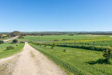 Farm Sold - SA - Strathalbyn - 5255 - Nearly Too Good To Be True…..  (Image 2)