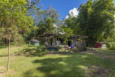 Farm For Sale - NSW - Mount Burrell - 2484 - PERENNIAL PARADISE.  (Image 2)