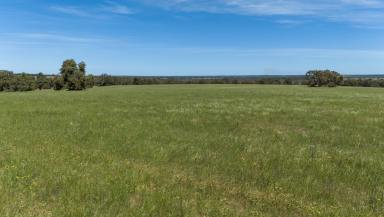 Farm For Sale - WA - Mindarra - 6503 - "Expansive 443 Acres with a Charming Residence"  (Image 2)