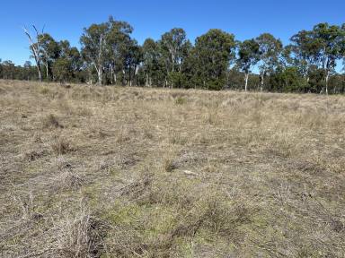 Farm Sold - QLD - Dalwogon - 4415 - Affordable Grazing in Excellent Location  (Image 2)