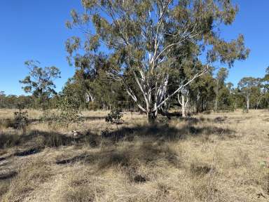 Farm Sold - QLD - Dalwogon - 4415 - Affordable Grazing in Excellent Location  (Image 2)