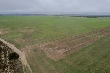 Farm Sold - WA - Lake Margarette - 6475 - Mollerin Rock South  Road, Lake Margarette  (Image 2)